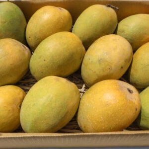 Kesar Mango